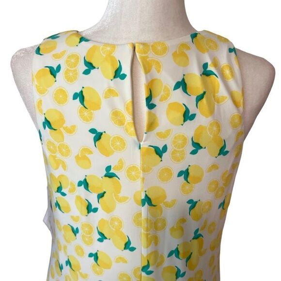 Pappagallo Lemon Print Sleeveless Dress. Size Small. New with Tags!! - Picture 5 of 14